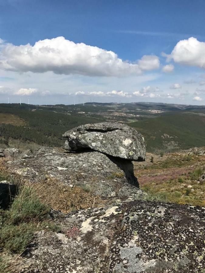 Quinchoso Dos Bentos Βίλα Vila Pouca de Aguiar Εξωτερικό φωτογραφία