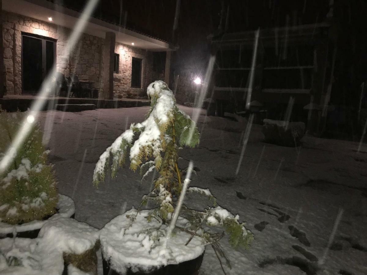 Quinchoso Dos Bentos Βίλα Vila Pouca de Aguiar Εξωτερικό φωτογραφία